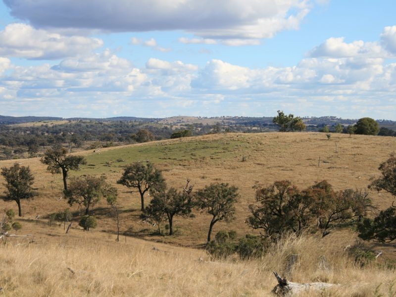 Lot 15 Springdale Road, Stanthorpe QLD 4380