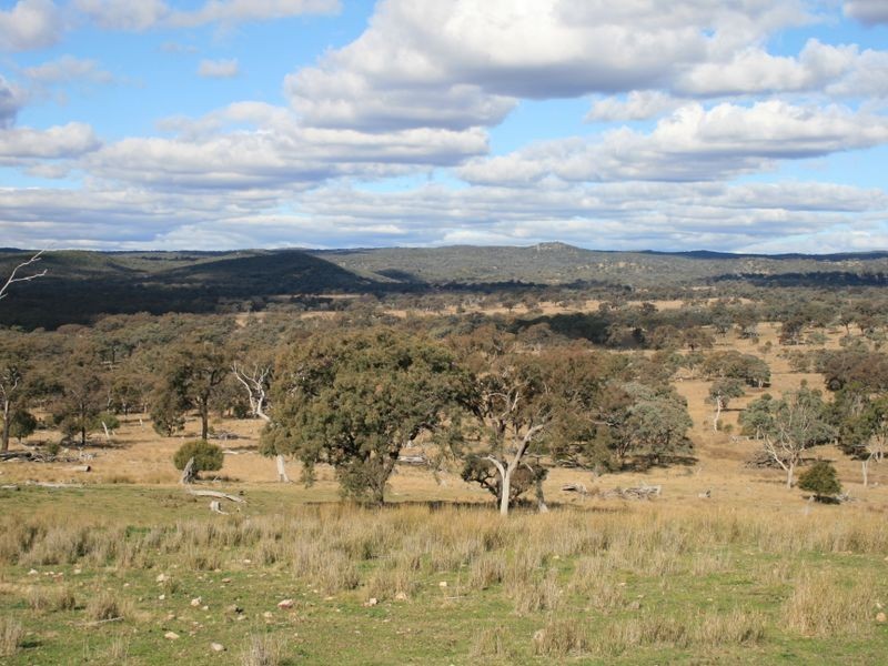 Lot 15 Springdale Road, Stanthorpe QLD 4380