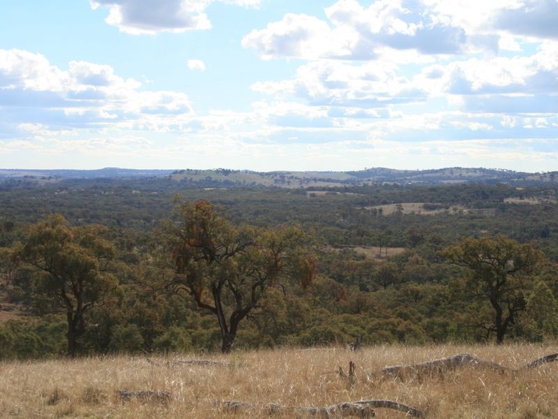 Lot 15 Springdale Road, Stanthorpe QLD 4380