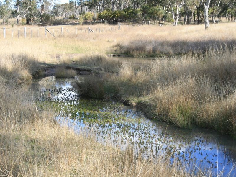 Lot 15 Springdale Road, Stanthorpe QLD 4380