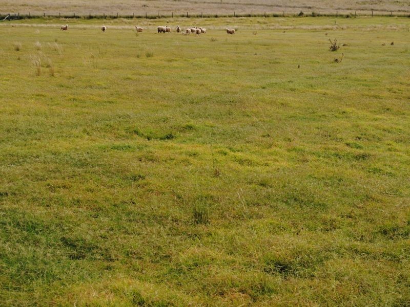 498 Lyndhurst Lane, Warwick QLD 4370