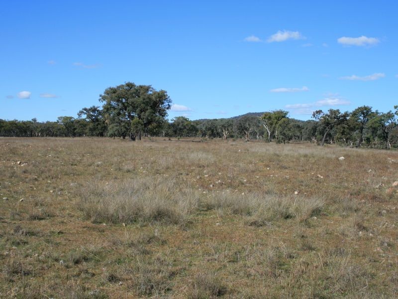 Lot 240 Mt Janet  Road, Dalveen QLD 4374