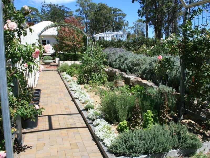 Blue Pines Mt Lindsay Road Cullendore, Liston NSW 2372