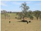 Blue Pines Mt Lindsay Road Cullendore, Liston NSW 2372