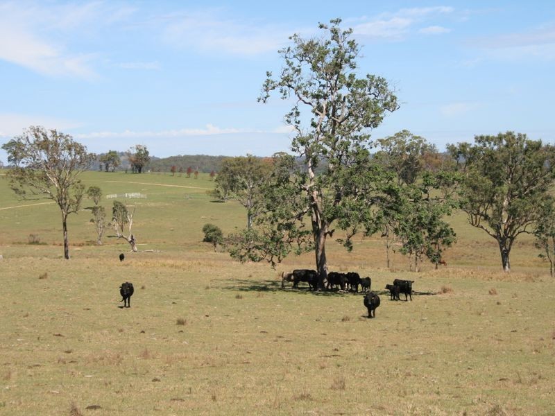 Blue Pines Mt Lindsay Road Cullendore, Liston NSW 2372