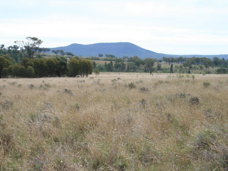 Yarran Hollybank Road, Warroo QLD 4387