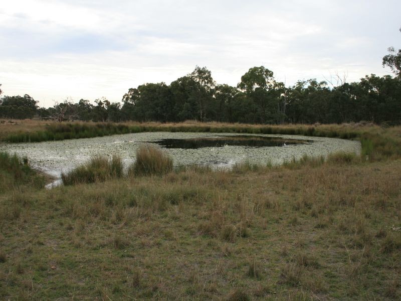 Yarran Hollybank Road, Warroo QLD 4387