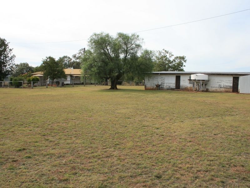 Yarran Hollybank Road, Warroo QLD 4387