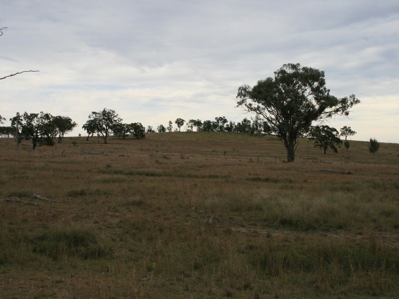 Yarran Hollybank Road, Warroo QLD 4387