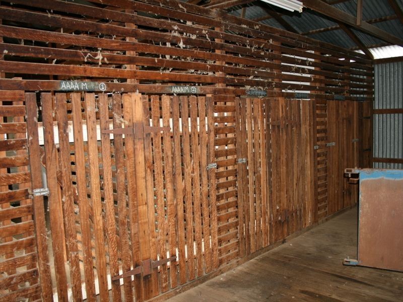 Yarran Hollybank Road, Warroo QLD 4387