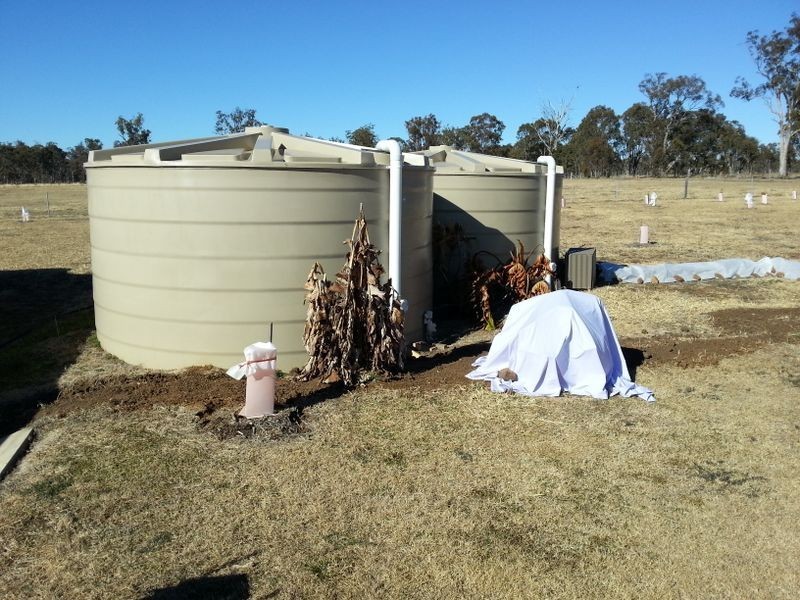 475 Cullendore Road, Clintonvale QLD 4370