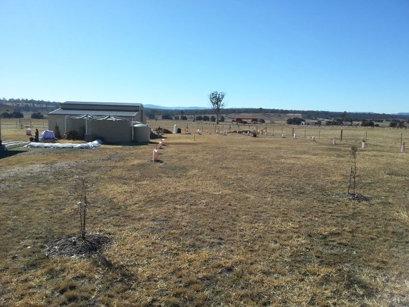 475 Cullendore Road, Clintonvale QLD 4370