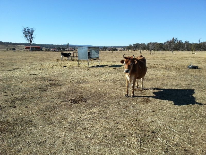 475 Cullendore Road, Clintonvale QLD 4370