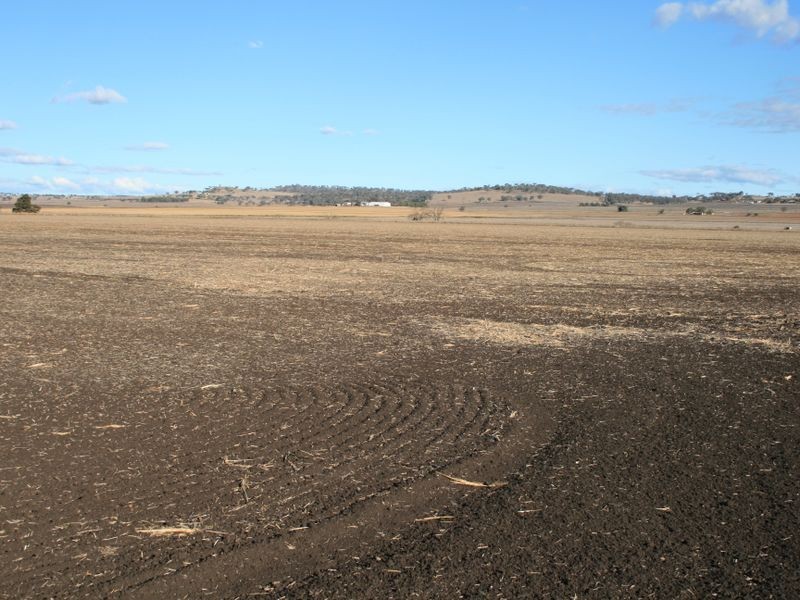 Lot 105-10 Willetts Road, Clintonvale QLD 4370