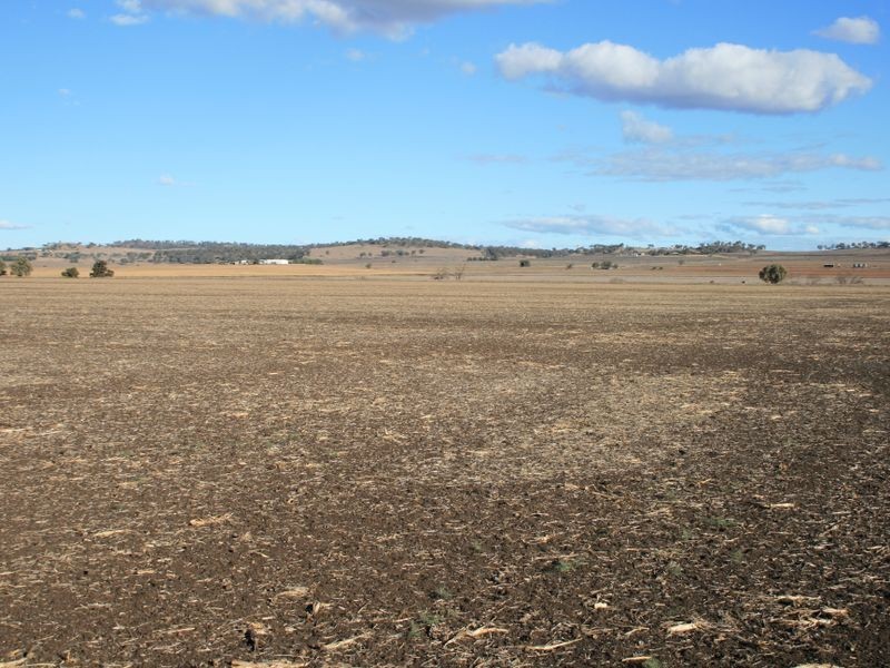 Lot 105-10 Willetts Road, Clintonvale QLD 4370