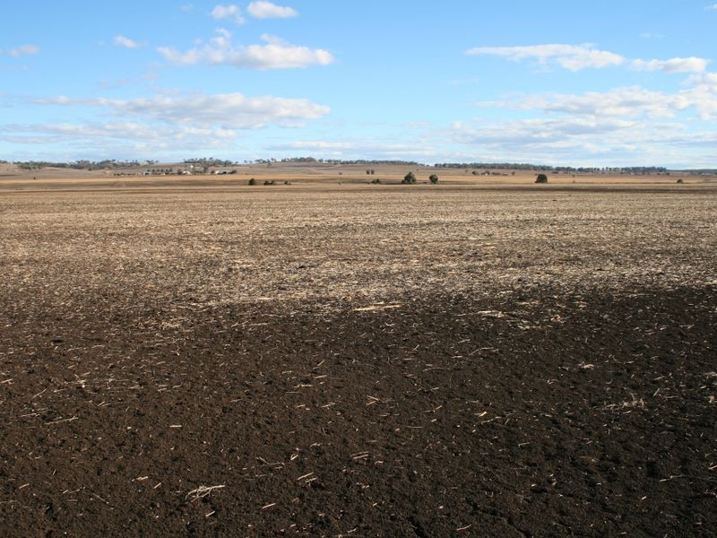 Lot 105-10 Willetts Road, Clintonvale QLD 4370