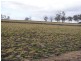 Lot 17 cnr Mapes Canavans & Hoffmans Roads, Warwick QLD 4370