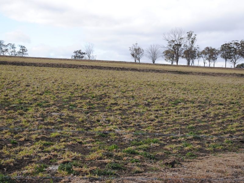 Lot 17 cnr Mapes Canavans & Hoffmans Roads, Warwick QLD 4370