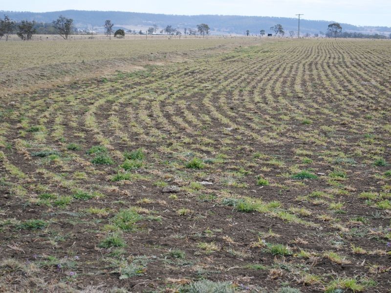 Lot 17 cnr Mapes Canavans & Hoffmans Roads, Warwick QLD 4370