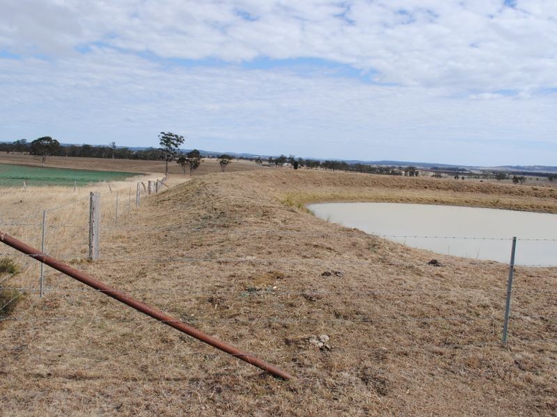 Lot 17 cnr Mapes Canavans & Hoffmans Roads, Warwick QLD 4370