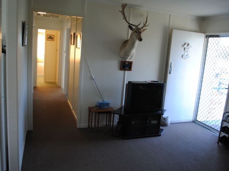 120 Horsman Road, Warwick QLD 4370