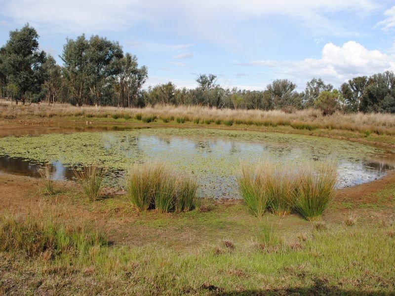 8026 Toowoomba-Karara Road, Karara QLD 4352