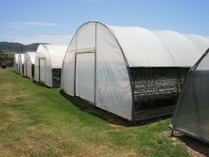 18 Old Emuvale Road, Yangan QLD 4371