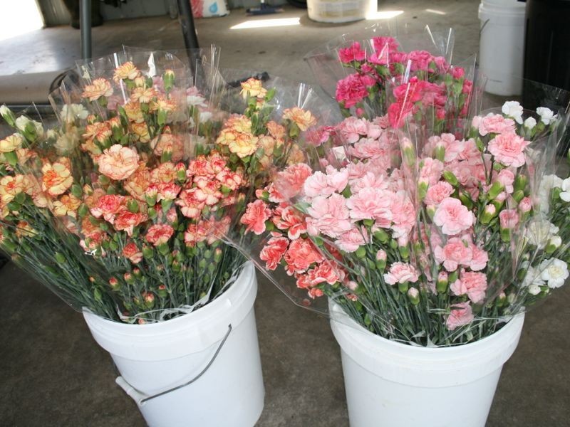 18 Old Emuvale Road, Yangan QLD 4371