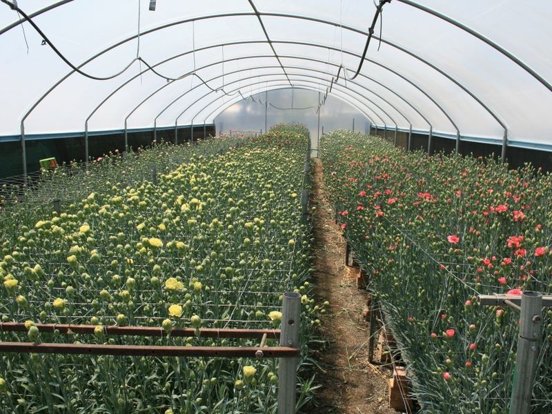 18 Old Emuvale Road, Yangan QLD 4371