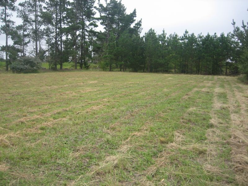 30 Pozieres Road, Cottonvale QLD 4375