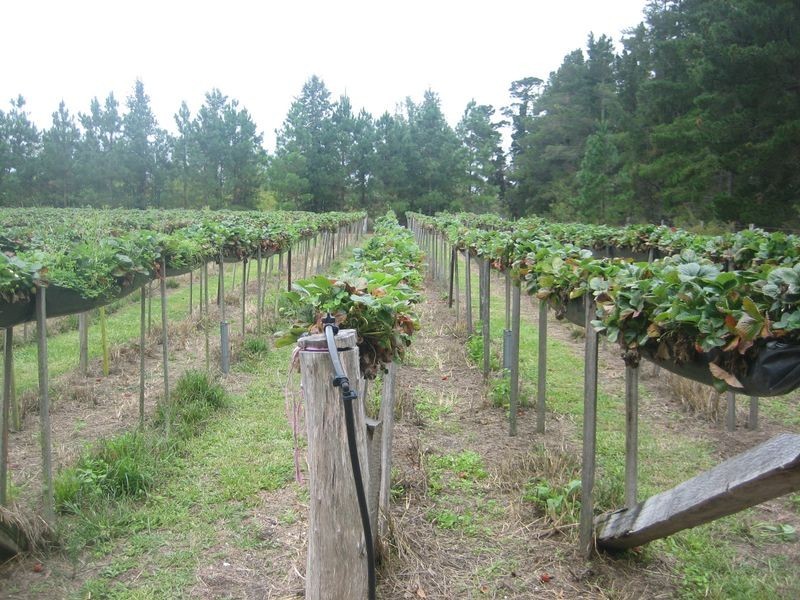 30 Pozieres Road, Cottonvale QLD 4375