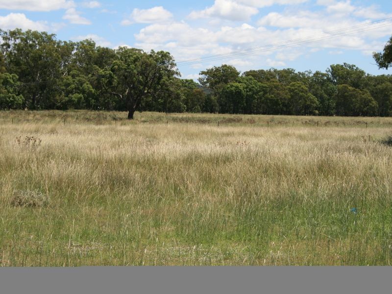 279 Tummaville Road Leyburn via, Warwick QLD 4370