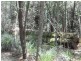 L48 Gambubal Road, Mount Colliery QLD 4370