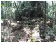 L48 Gambubal Road, Mount Colliery QLD 4370