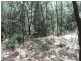 L48 Gambubal Road, Mount Colliery QLD 4370