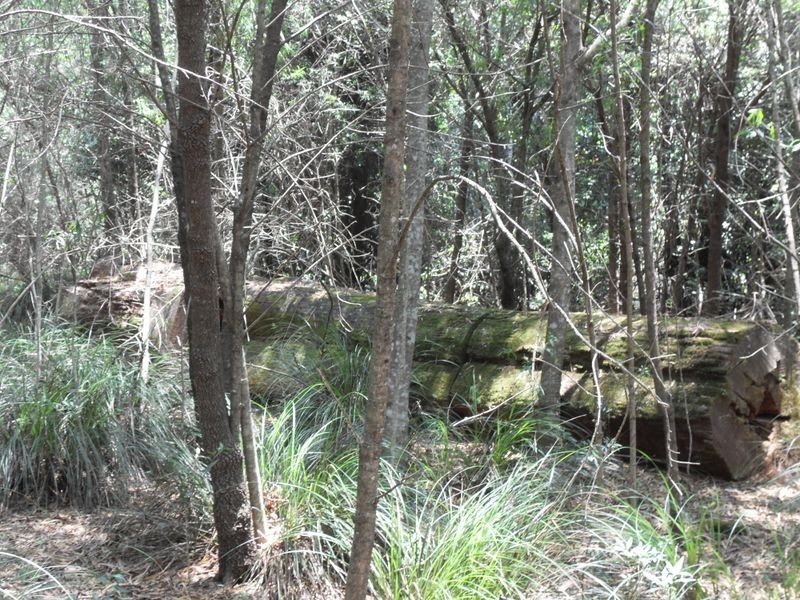 L48 Gambubal Road, Mount Colliery QLD 4370