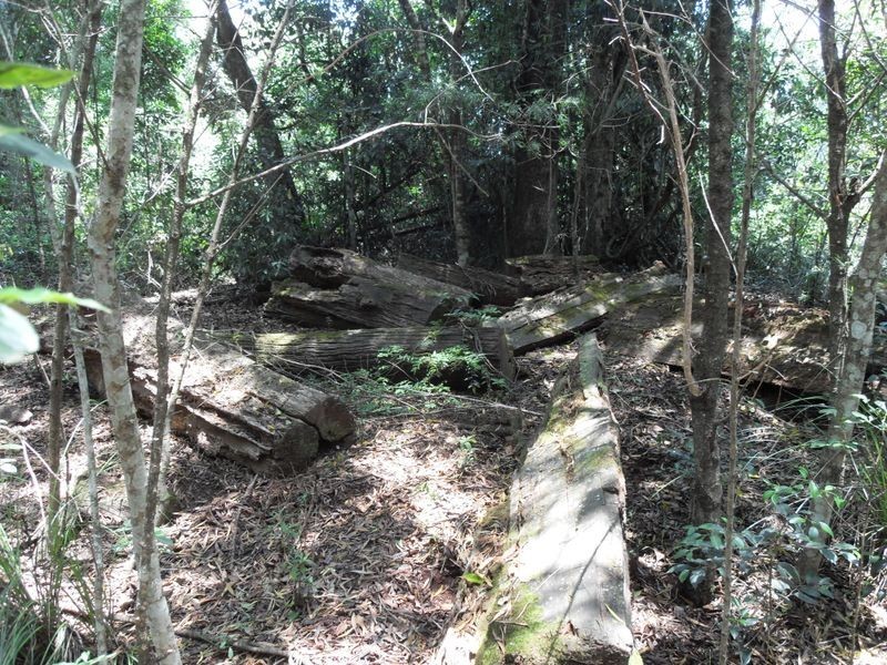 L48 Gambubal Road, Mount Colliery QLD 4370