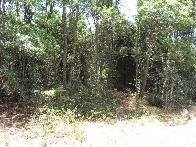 L48 Gambubal Road, Mount Colliery QLD 4370