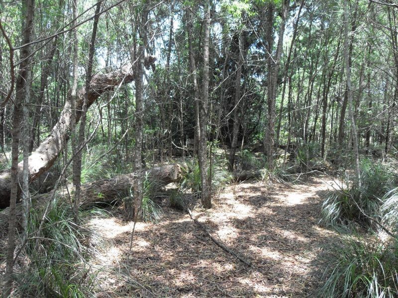 L48 Gambubal Road, Mount Colliery QLD 4370