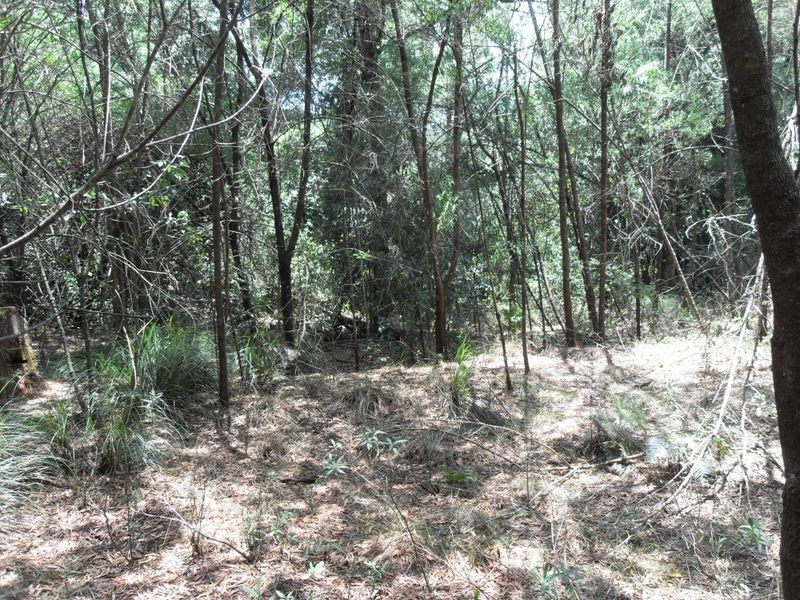 L48 Gambubal Road, Mount Colliery QLD 4370