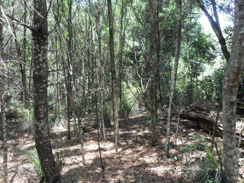 L48 Gambubal Road, Mount Colliery QLD 4370