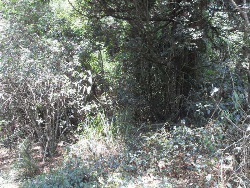 L48 Gambubal Road, Mount Colliery QLD 4370