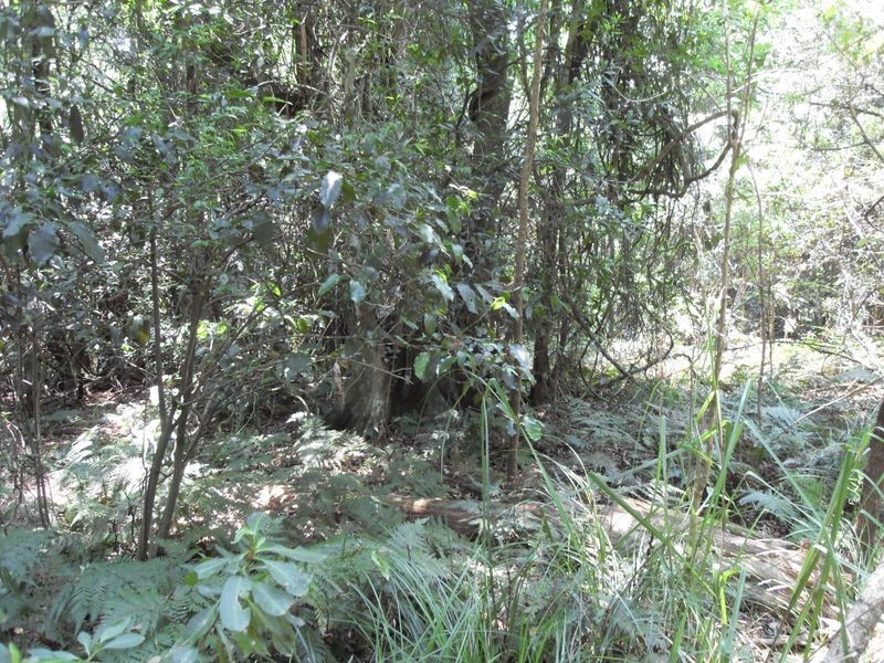 L48 Gambubal Road, Mount Colliery QLD 4370