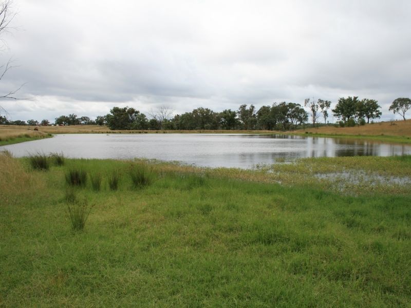 5789 Callemondah Texas Road, Stanthorpe QLD 4380