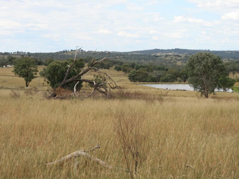 5789 Callemondah Texas Road, Stanthorpe QLD 4380