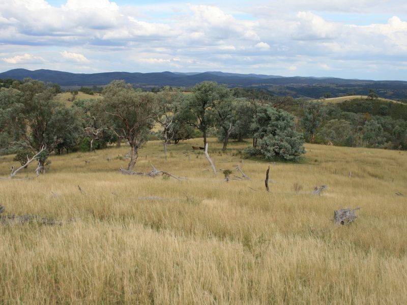 5789 Callemondah Texas Road, Stanthorpe QLD 4380