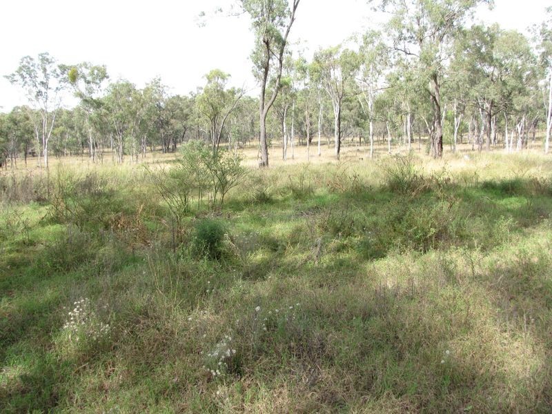 97 Big Hill Road PRATTEN via, Warwick QLD 4370