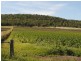 147 Mays Lane, Clintonvale QLD 4370