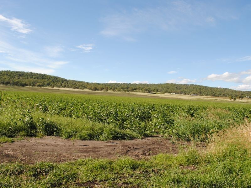 147 Mays Lane, Clintonvale QLD 4370