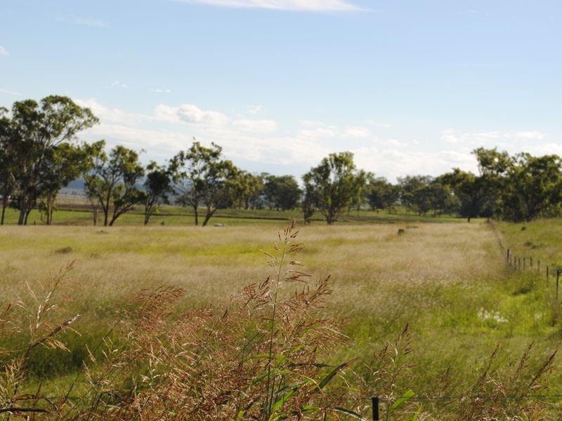 147 Mays Lane, Clintonvale QLD 4370